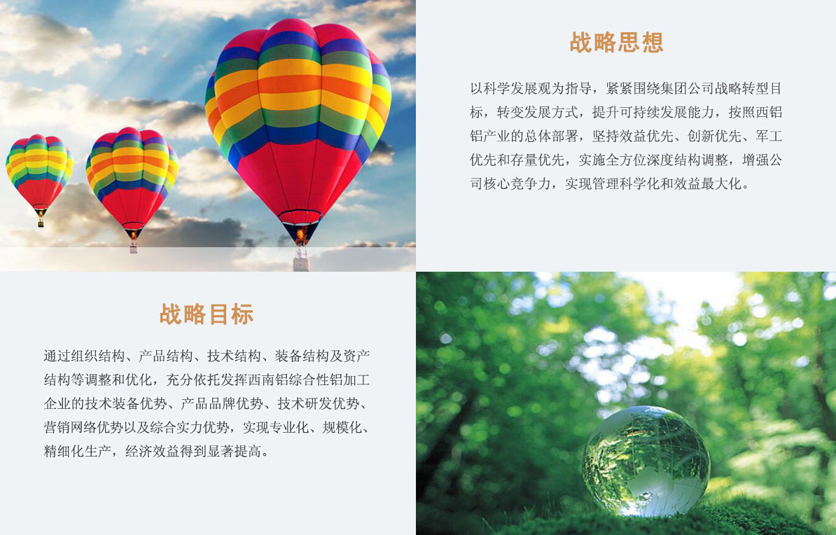 發(fā)展戰(zhàn)略3(4).jpg
